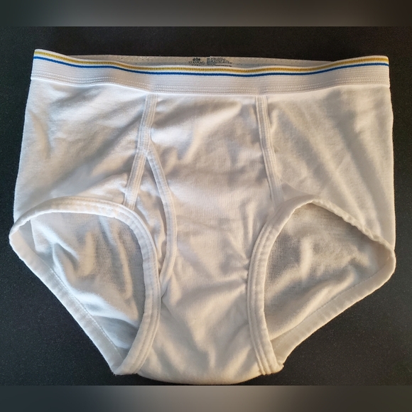 Stafford Other - Stafford White Briefs with Blue and Yellow Waistband